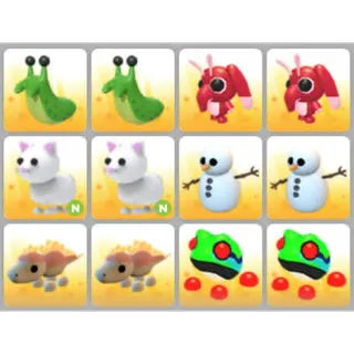 BUNDLE PET X12