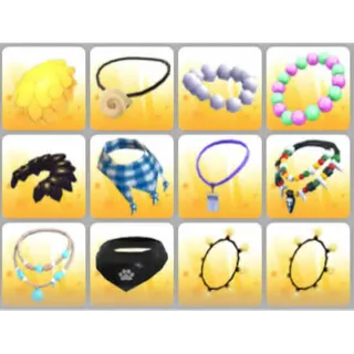 BUNDLE PET WEAR X12