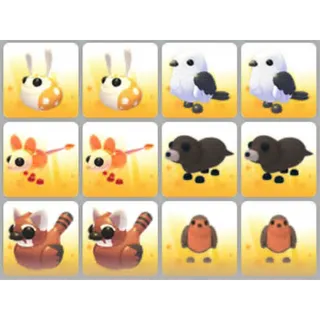 BUNDLE PET X12
