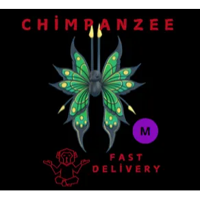 2025 birthday butterfly MEGA