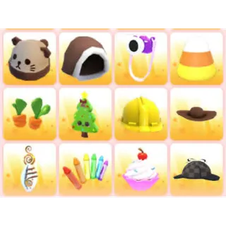 BUNDLE PET WEAR X12