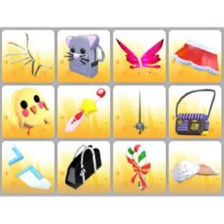 BUNDLE PET WEAR X12
