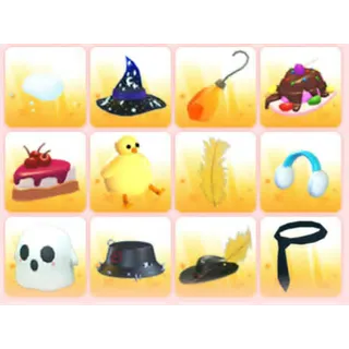 BUNDLE PET WEAR X12