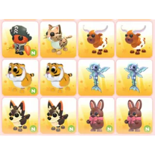 BUNDLE PET X12