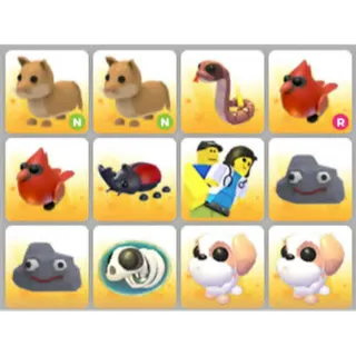 BUNDLE PET X12