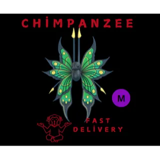  2025 birthday butterfly MEGA