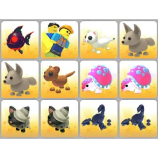 BUNDLE PET X12