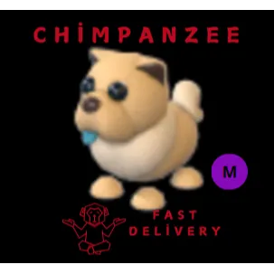 Tan Chow Chow MEGA