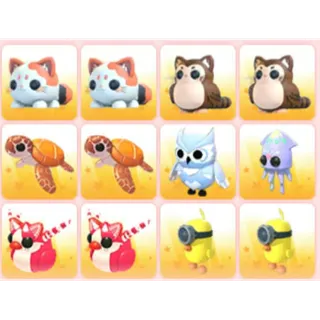 BUNDLE PET X12