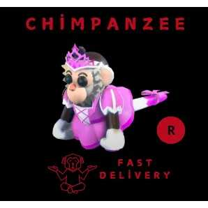 PRINCESS capuchin monkey R