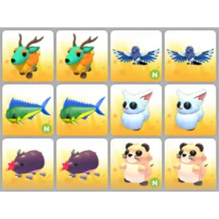 BUNDLE PET X12
