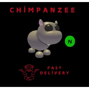 HIPPO NEON