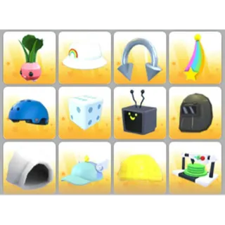 BUNDLE PET WEAR X12