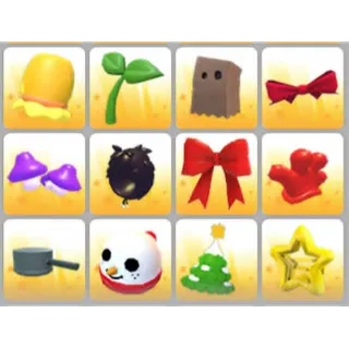 BUNDLE PET WEAR X12
