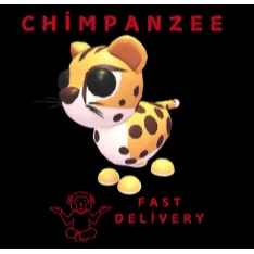 cheetah