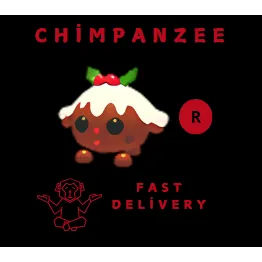R christmas pudding pup
