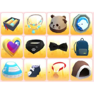 BUNDLE PET WEAR X12