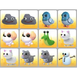 BUNDLE PET X12