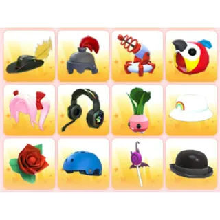BUNDLE PET WEAR X12