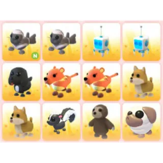 BUNDLE PET X12