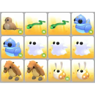 BUNDLE PET X12