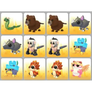 BUNDLE PET X12