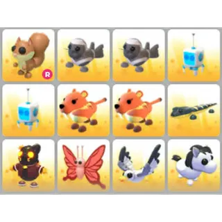 BUNDLE PET X12