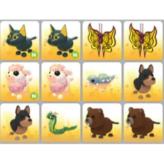 BUNDLE PET X12