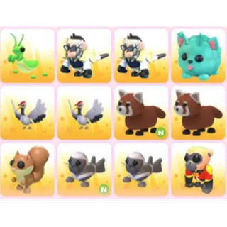 BUNDLE PET X12