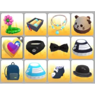 BUNDLE PET WEAR X12