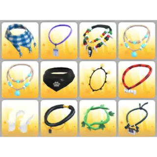 BUNDLE PET WEAR X12