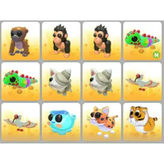 BUNDLE PET X12