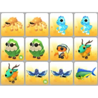 BUNDLE PET X12
