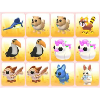 BUNDLE PET X12