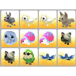 BUNDLE PET X12