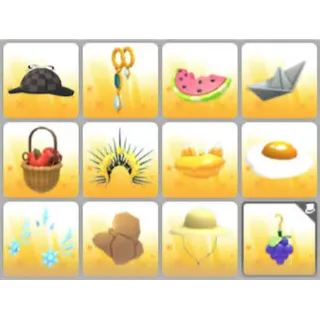 BUNDLE PET WEAR X12