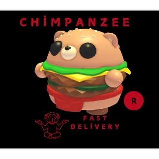 BURGER BEAR R