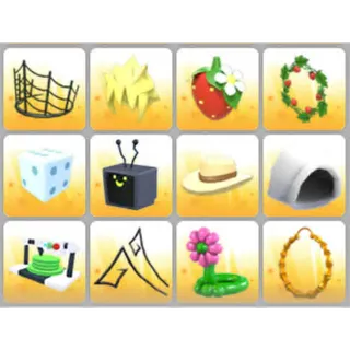 BUNDLE PET WEAR X12