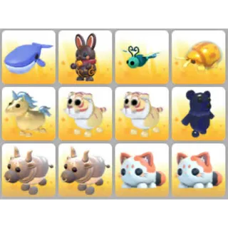 BUNDLE PET X12