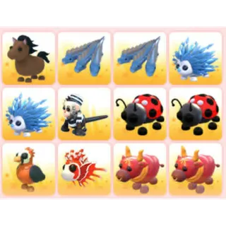 BUNDLE PET X12