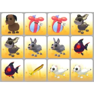BUNDLE PET X12