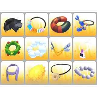 BUNDLE PET WEAR X12