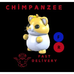 GOLDEN HAMSTER FR
