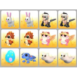 BUNDLE PET X12