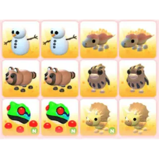 BUNDLE PET X12