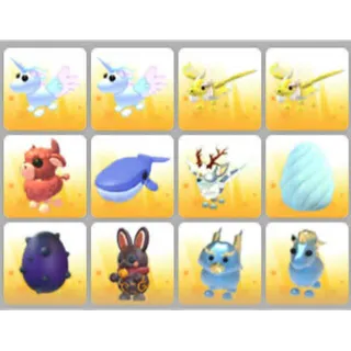 BUNDLE PET X12