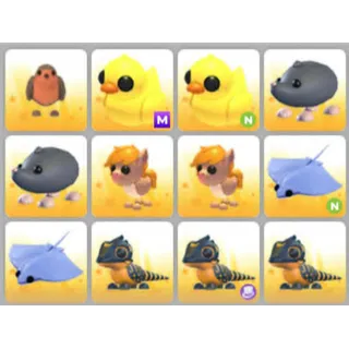 BUNDLE PET X12
