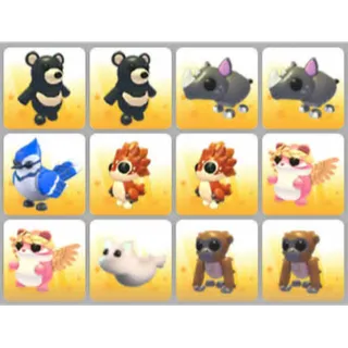 BUNDLE PET X12