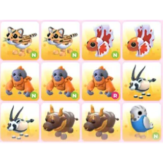 BUNDLE PET X12