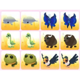 BUNDLE PET X12